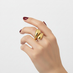 Anillo Envolvente